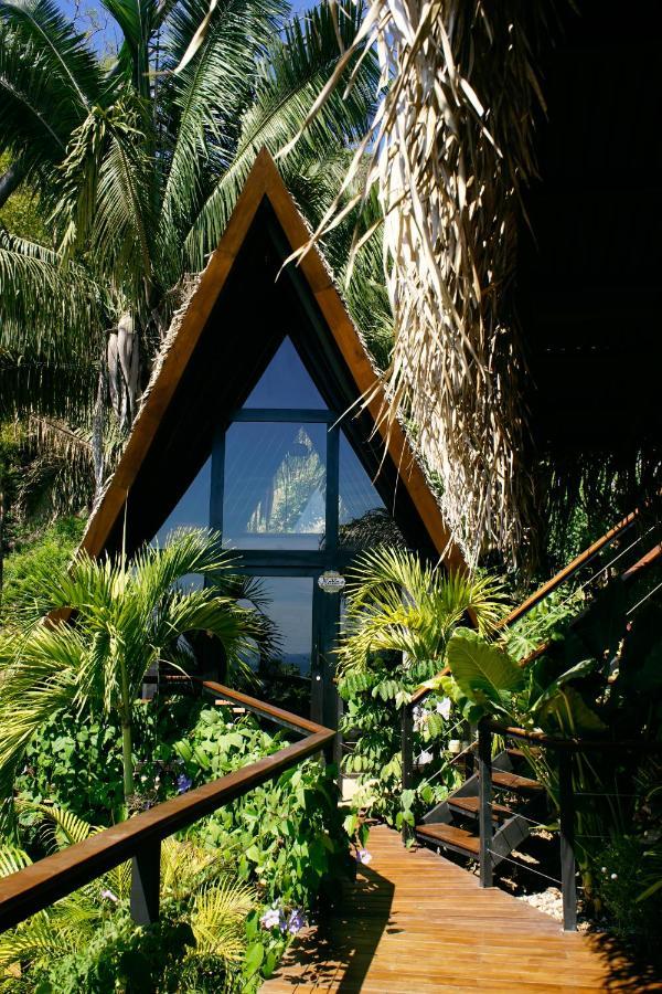 Bohemia Experience Villa Playa Santa Teresa  Exteriör bild
